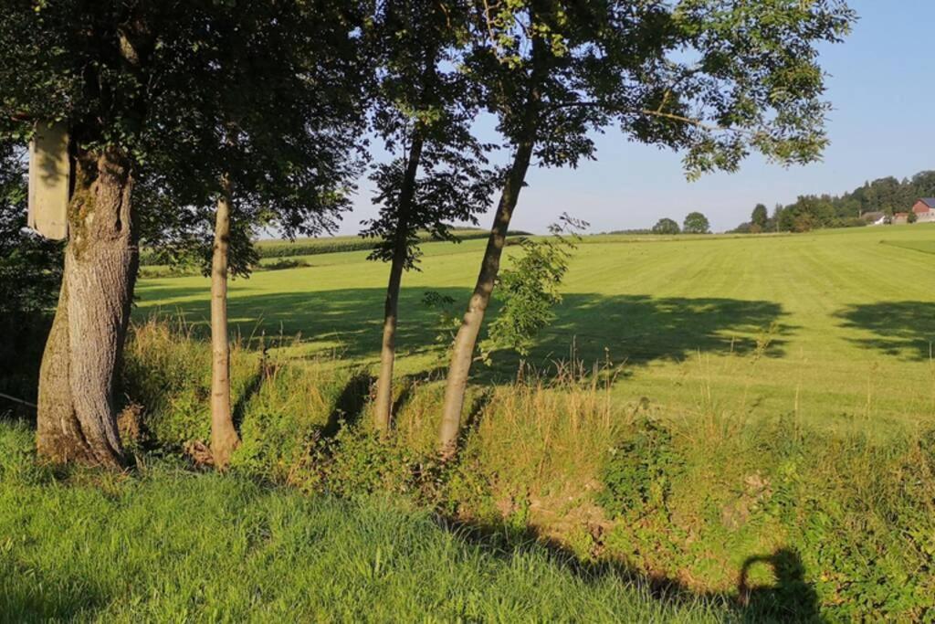 Ruhige Ferienwohnung Inklusive Garten Souterrain - Neu Renoviert Lachen Luaran gambar